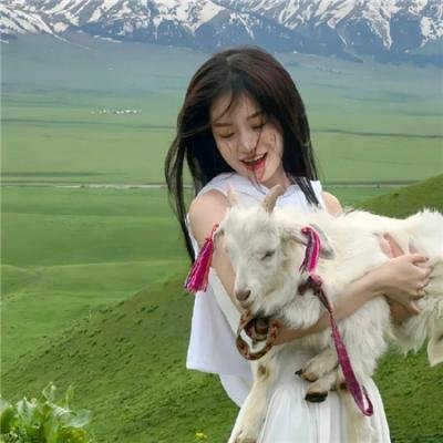 白衣侠女 在线观看